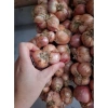 Đặc sản Hành Cô Đơn H Mông Sơn La - Giá chỉ 30.000 VND, hương vị độc đáo 6