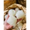 Đặc sản Hủ tiếu cuộn gạo lứt Sa Đéc - Rau củ dinh dưỡng, ăn kiêng giảm cân, giá 23.000đ 10