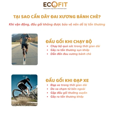 Đai Bảo Vệ Đầu Gối ECOFIT 7.927 - Giảm Đau, Chống Chấn Thương, Thoáng Khí, Phù Hợp Thể Thao - Giá 145.000₫ 5