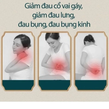 Đai Chườm Muối Ngải Cứu Giảm Đau Cột Sống & Hỗ Trợ Sau Sinh - Giá Ưu Đãi 274k