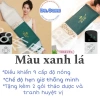 Đai Chườm Muối Ngải Cứu Giảm Đau Cột Sống & Hỗ Trợ Sau Sinh - Giá Ưu Đãi 274k 8