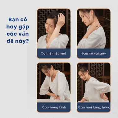 Đai Chườm Nóng Thảo Dược Điện Sưởi Có Điều Khiển - Giảm Đau Lưng, Eo, Bụng - 445.000₫ 2