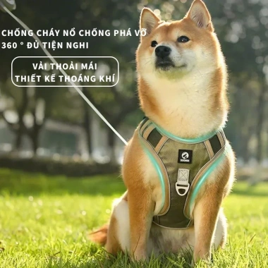 Đai Dắt Chó Phản Quang MICOSON - Chất Liệu Bền Bỉ, Nhiều Kích Cỡ, Giá 199.000₫ 3