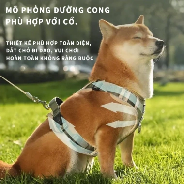 Đai Dắt Chó Phản Quang MICOSON - Chất Liệu Bền Bỉ, Nhiều Kích Cỡ, Giá 199.000₫ 4