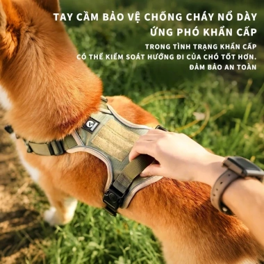 Đai Dắt Chó Phản Quang MICOSON - Chất Liệu Bền Bỉ, Nhiều Kích Cỡ, Giá 199.000₫ 5