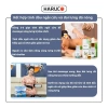 Đai Haruco Đá Nóng giảm đau lưng, ngăn thoát vị đĩa đệm, cải thiện cột sống - 253.821₫ 6