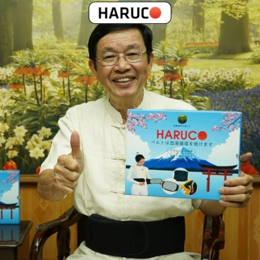 Đai Haruco Đá Nóng giảm đau lưng, ngăn thoát vị đĩa đệm, cải thiện cột sống - 253.821₫ 9