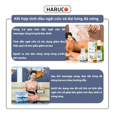 Đai Haruco Đá Nóng Nhật Bản - Giảm Đau Lưng, Ngăn Thoát Vị Đĩa, Thoái Hóa Cột Sống, 242.278 VND 2