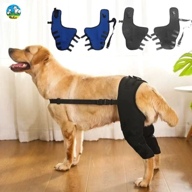 Đai hỗ trợ chân sau cho chó 3-32kg thoáng khí, giảm đau khớp hông, phục hồi sau phẫu thuật Đai hỗ trợ chân sau cho chó 3-32kg thoáng khí, giảm đau khớp hông, phục hồi sau phẫu thuật