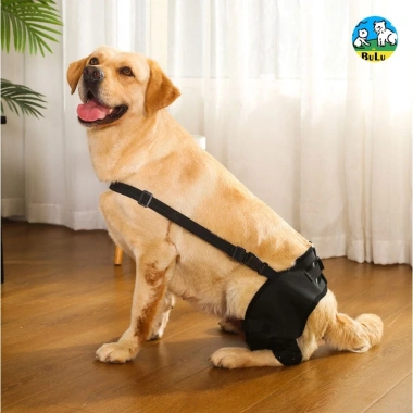 Đai hỗ trợ chân sau cho chó 3-32kg thoáng khí, giảm đau khớp hông, phục hồi sau phẫu thuật