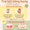 Đai nâng đỡ bụng bầu PEEWEES cao cấp màu xám - giảm đau lưng, ngăn rạn bụng, vải co giãn siêu mềm, hỗ trợ đổi size 8