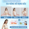 Đai Nâng Đỡ Bụng Bầu PeeWees Pro Co Giãn 4 Chiều Lưới Mềm Mại - Giảm Đau Lưng, Rạn Bụng, Bảo Vệ Cột Sống - 229k 7