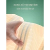 Đai Nịt Bụng Chất Đúc Su Mỏng Nhẹ Thoáng Khí 8 Xương Định Hình Giảm Mỡ Chống Gù D123 5