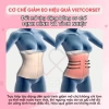 Đai Nịt Bụng Latex Gile Slim 200 Vietcorset Giảm Mỡ Bụng Lưng Chính Hãng Trọn Đời 7