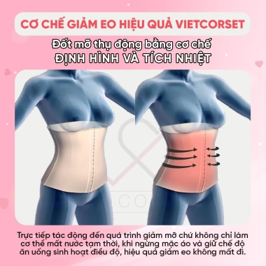 Đai Nịt Bụng Latex Gile Slim 200 Vietcorset Giảm Mỡ Bụng Lưng Chính Hãng Trọn Đời