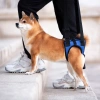 Đai phụ trợ chân sau cho chó mèo 1,5-17,5kg, tăng cường, thoáng khí, 4 mùa, hỗ trợ khuyết tật 2