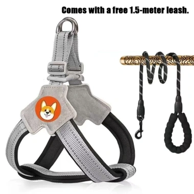 Đai yếm chó phản quang thoáng khí kiểu Y + dây dắt 1.5m – An toàn cho Shiba, Corgi, Poodle đi dạo đêm 2