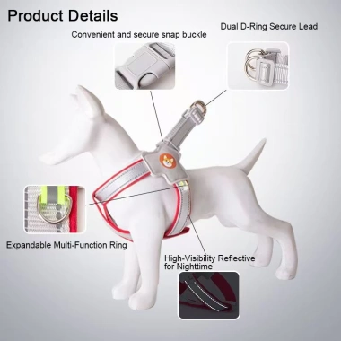Đai yếm chó phản quang thoáng khí kiểu Y + dây dắt 1.5m – An toàn cho Shiba, Corgi, Poodle đi dạo đêm 6