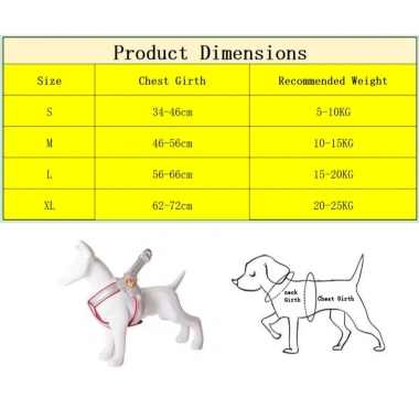 Đai yếm chó phản quang thoáng khí kiểu Y + dây dắt 1.5m – An toàn cho Shiba, Corgi, Poodle đi dạo đêm 9