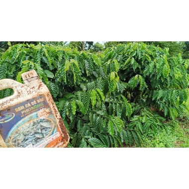 Đạm cá siêu amino vi sinh Phú Nông Xanh 5L – mùi thơm nhẹ, phân bón hữu cơ, giá 240.000 VNĐ 3