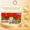Đầm nhung Hương Thiên Sâm Kyoung Buk Gung VVIP đầm dạ hội - Giá ưu đãi 1,100,000đ