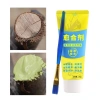 Dán Cắt Tỉa Bonsai 100g Chống Thời Tiết, Kèm Cọ, Bảo Vệ Vỏ Cây, Giá Ưu Đãi 64.900 VND