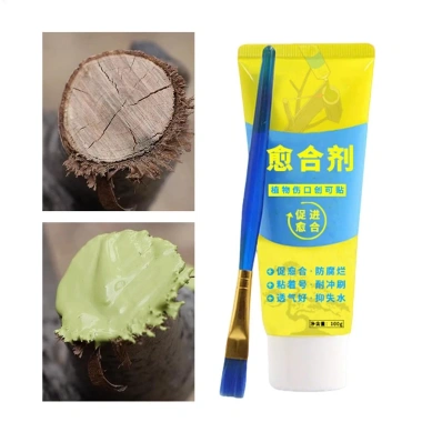 Dán Cắt Tỉa Bonsai 100g Chống Thời Tiết, Kèm Cọ, Bảo Vệ Vỏ Cây, Giá Ưu Đãi 64.900 VND
