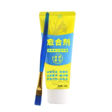 Dán Cắt Tỉa Bonsai 100g Chống Thời Tiết, Kèm Cọ, Bảo Vệ Vỏ Cây, Giá Ưu Đãi 64.900 VND