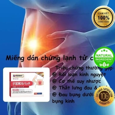 Dán Đau Bụng Kinh Nhật Bản 10 Miếng - Đau Kinh Nguyệt, Suy Nhược, Giá 133.920₫