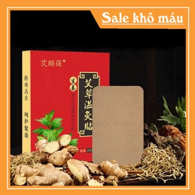 Dán Ngải Cứu 20 miếng Giảm Đau Nhức Xương Khớp, Cột Sống - Chỉ 13.000đ