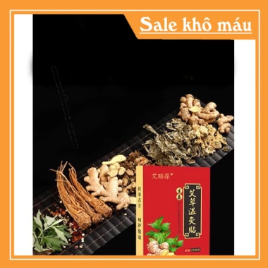 Dán Ngải Cứu 20 miếng Giảm Đau Nhức Xương Khớp, Cột Sống - Chỉ 13.000đ