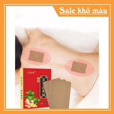 Dán Ngải Cứu 20 miếng Giảm Đau Nhức Xương Khớp, Cột Sống - Chỉ 13.000đ