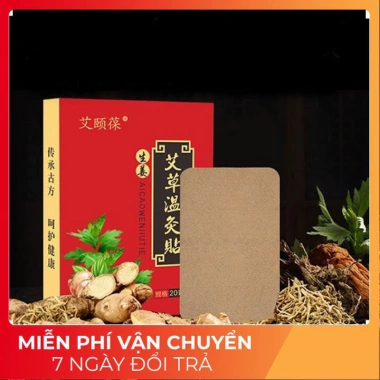 Dán Ngải Cứu 20 Miếng Giảm Đau Xương Khớp Cột Sống Nhanh Túi 20 Miếng 13.000 VND 2