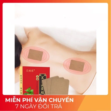 Dán Ngải Cứu 20 Miếng Giảm Đau Xương Khớp Cột Sống Nhanh Túi 20 Miếng 13.000 VND 8