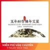 Dán Ngải Cứu 50 miếng giảm đau cổ vai gáy, thải độc nhanh, chỉ 16.000₫ 8