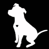 Dán Phản Quang Pit Bull Dễ Thương cho Xe, Cửa Sổ, Đề Can - SPM Đề Can Trang Trí 4