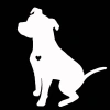 Dán Phản Quang Pit Bull Dễ Thương cho Xe, Cửa Sổ, Đề Can - SPM Đề Can Trang Trí 9