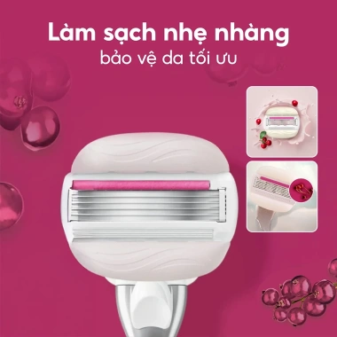 Dao cạo Gillette Venus Comfortglide Olay Sugarberry Mềm mịn không kích ứng 319.000đ 2