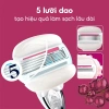 Dao cạo Gillette Venus Comfortglide Olay Sugarberry Mềm mịn không kích ứng 319.000đ 3