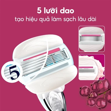 Dao cạo Gillette Venus Comfortglide Olay Sugarberry Mềm mịn không kích ứng 319.000đ 3