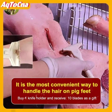 Dao cạo mỡ da lợn AqToCna - Đặc biệt cạo lông lợn, râu, cạo dầu, Giá chỉ 60.403 VND 9 Dao cạo mỡ da lợn AqToCna - Đặc biệt cạo lông lợn, râu, cạo dầu, Giá chỉ 60.403 VND 9