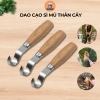 Dao cạo sì mủ thép không gỉ, râu riêng, gọt vỏ, xử lý sâu nấm - Sắc bén, tiện lợi, chỉ 55.000 VND