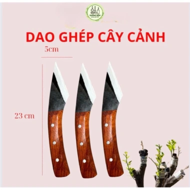 Dao chiết ghép cành thép nhíp ô tô sắc bén, cán gỗ hương, chốt đinh chắc – giá ưu đãi 94.000₫ 2 Dao chiết ghép cành thép nhíp ô tô sắc bén, cán gỗ hương, chốt đinh chắc – giá ưu đãi 94.000₫ 2