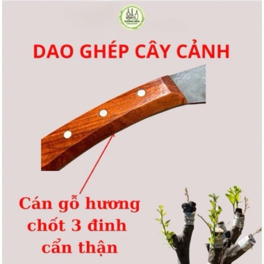 Dao chiết ghép cành thép nhíp ô tô sắc bén, cán gỗ hương, chốt đinh chắc – giá ưu đãi 94.000₫