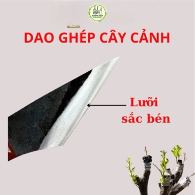 Dao chiết ghép cành thép nhíp ô tô sắc bén, cán gỗ hương, chốt đinh chắc – giá ưu đãi 94.000₫