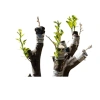 Dao chiết ghép cành thép nhíp ô tô sắc bén, cán gỗ hương, chốt đinh chắc – giá ưu đãi 94.000₫ 5