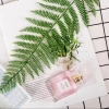 Đạo cụ chụp ảnh - Phụ kiện decor lá cây giá chỉ 15.000đ, tạo nền sinh động cho studio 3