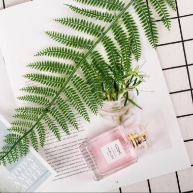 Đạo cụ chụp ảnh - Phụ kiện decor lá cây giá chỉ 15.000đ, tạo nền sinh động cho studio