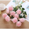 Đạo cụ chụp ảnh - Phụ kiện decor lá cây giá chỉ 15.000đ, tạo nền sinh động cho studio 6