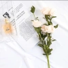 Đạo cụ chụp ảnh - Phụ kiện decor lá cây giá chỉ 15.000đ, tạo nền sinh động cho studio 7